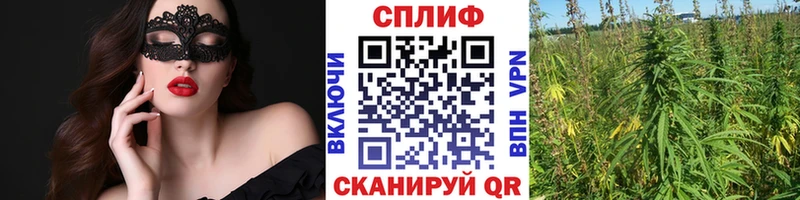 купить наркотик  Калачинск  Каннабис план 